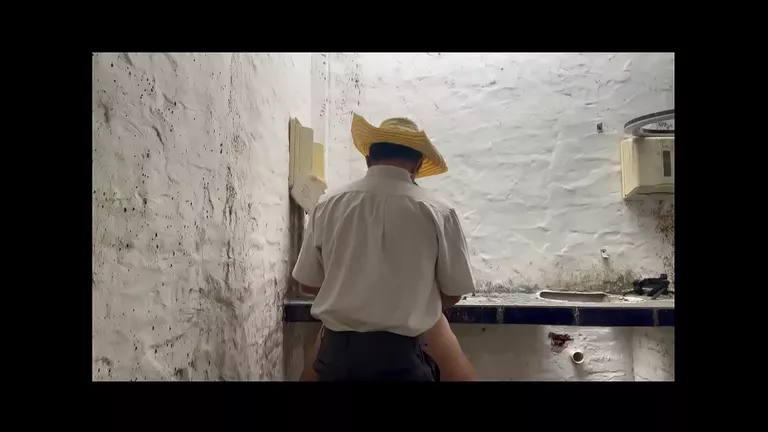 Pornô madrasta
